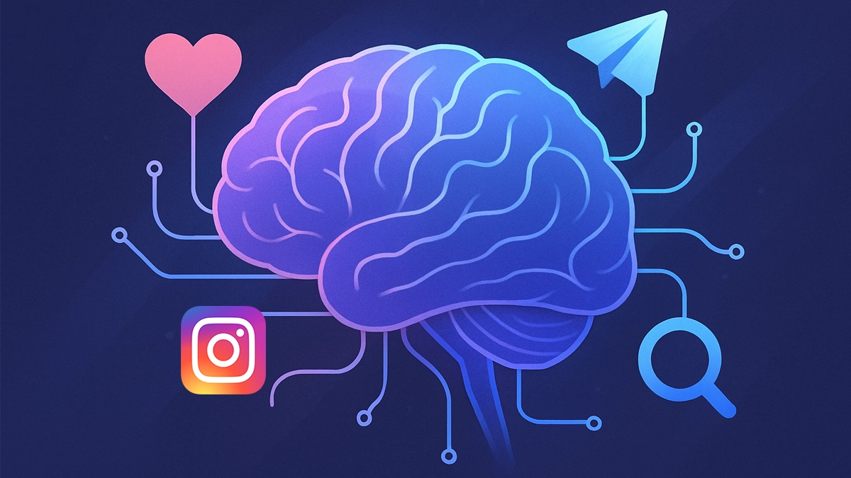 brain circuit social media