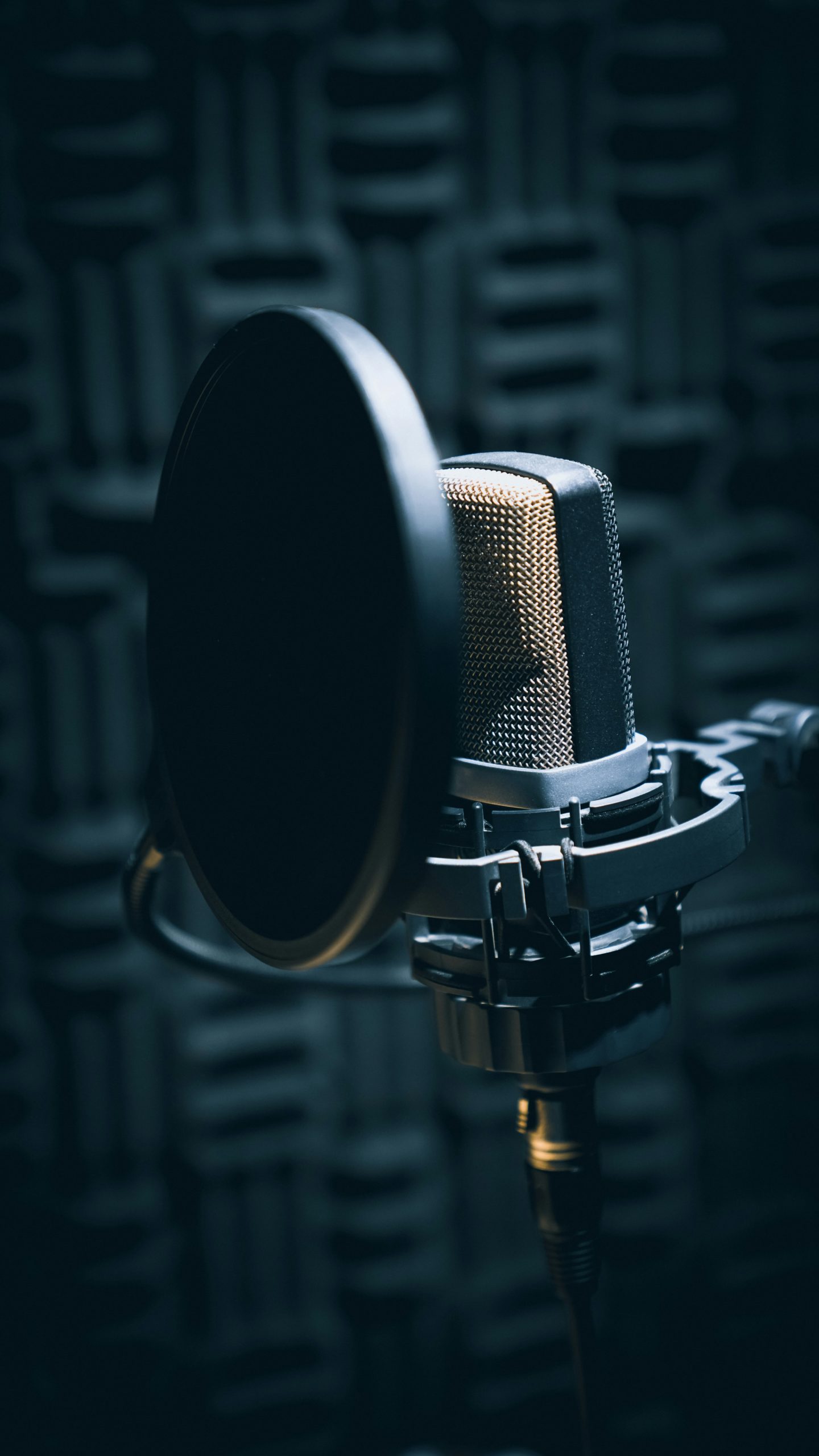 An image of a microphone for the fullframe blogpost on voice acting in video production, image by salah darwish from unsplash